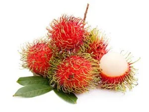 RAMBUTAN