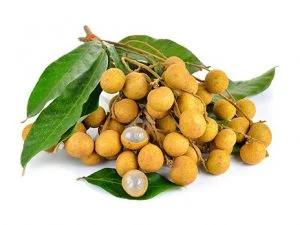 LONGAN