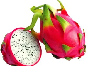 DRAGON FRUIT ( WHITE )